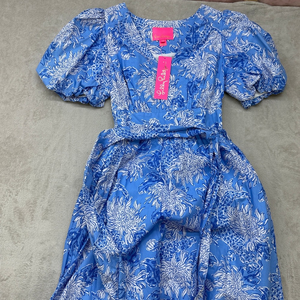 Lilly Pulitzer Ezralyn Maxi Dress Womens 00 Boca Blue Floral Puff Sleeve Cotton - Picture 3 of 14
